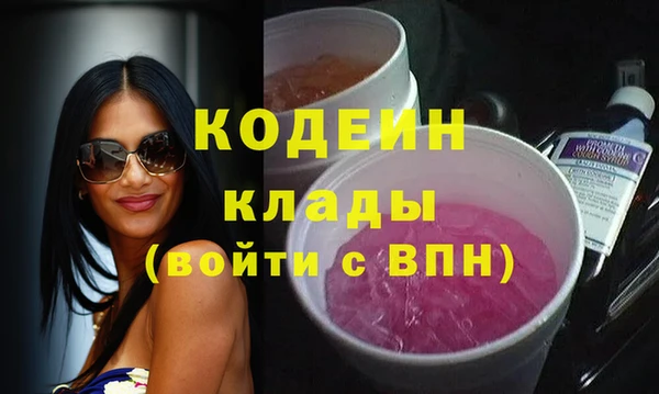 хмурый Новозыбков