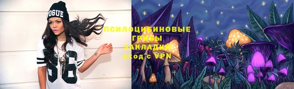 гидропоника Дмитров