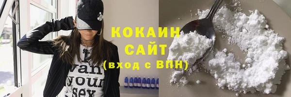 амф Дмитриев
