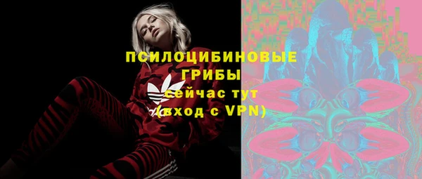 амф Дмитриев