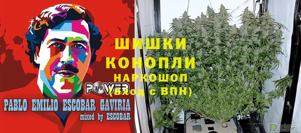 гидропоника Дмитров