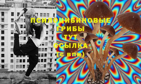 метадон Дмитровск
