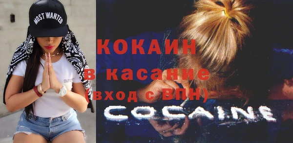 амф Дмитриев
